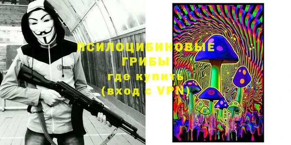 мдпв Арсеньев